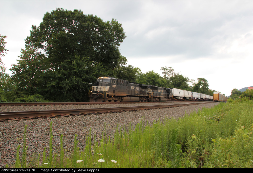 NS 4009 on the point of train 294